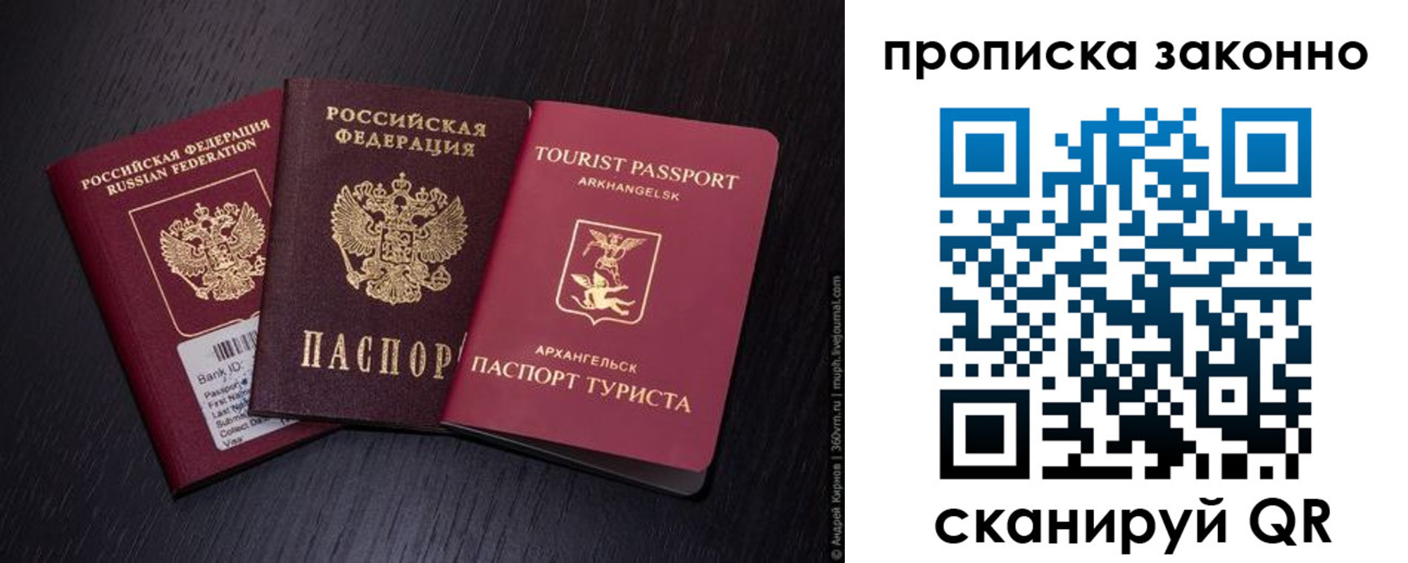прописка штамп в Сольцах